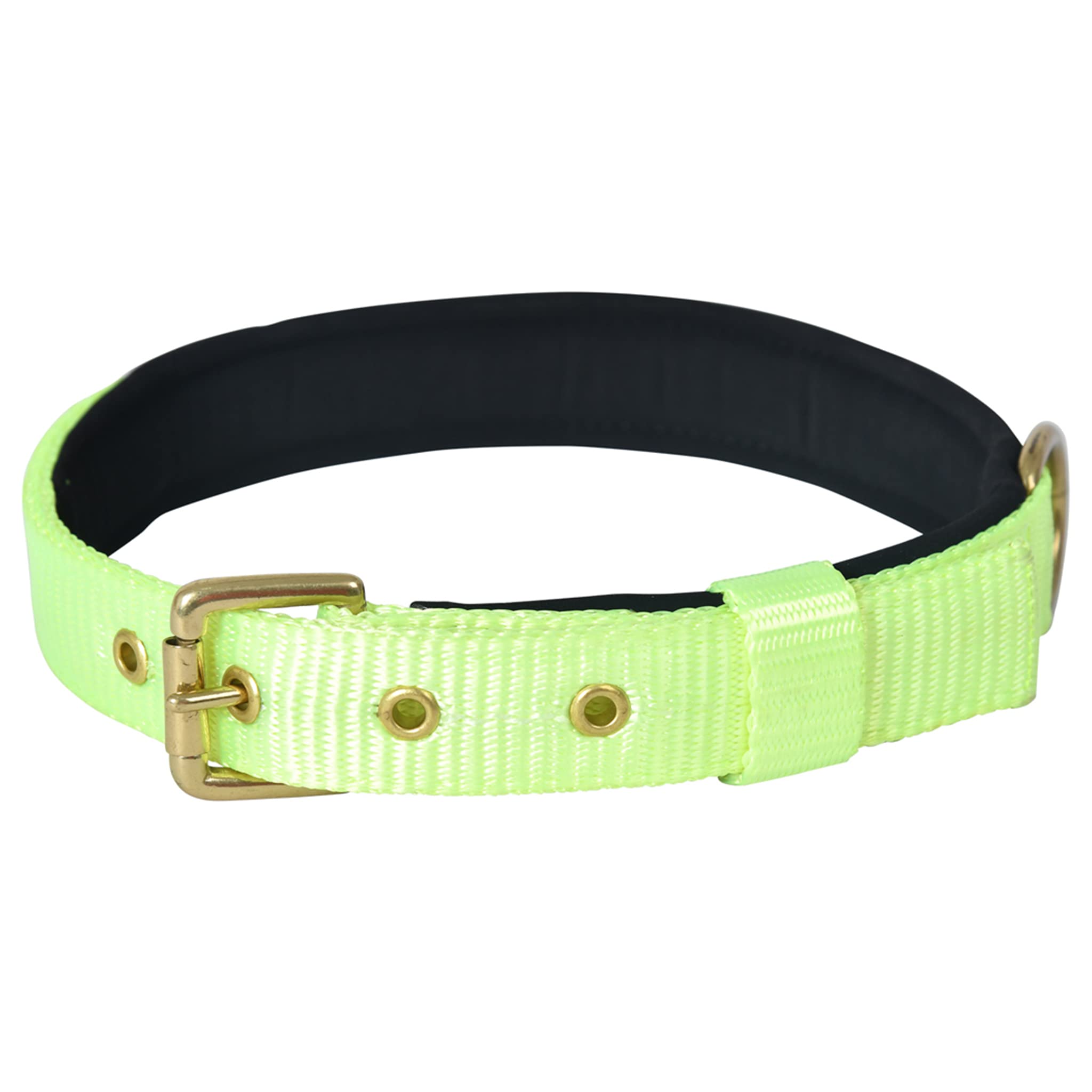 Forfurs Pin Buckle Dog Collar Neck Belt for Cats and Puppy - Extra Small, Lime Green (B08YK16W1M) Amazon Price History, Amazon Price Tracker