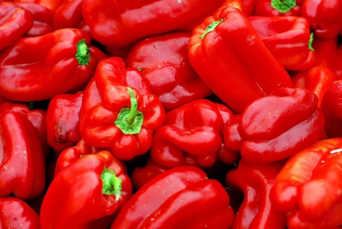 Willvine BIG RED Bell PEPPER Sweet Capsicum-PUAS-10A-picture-10