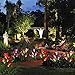 Outdoor Solar Lights- Solar Flower Lights, Garden Stake Lights 2 Solar Decorative Lights with 8 Lilies, Multi-Color Changing LED Landscape Decorative Lights for Garden,Patio, Backyard