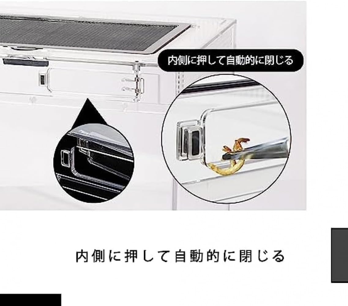 Amazon | Xiraivke 爬虫類ケージ 透明アクリル飼育ケース 20/30/40