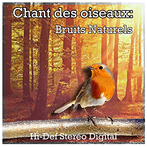 Chant des oiseaux