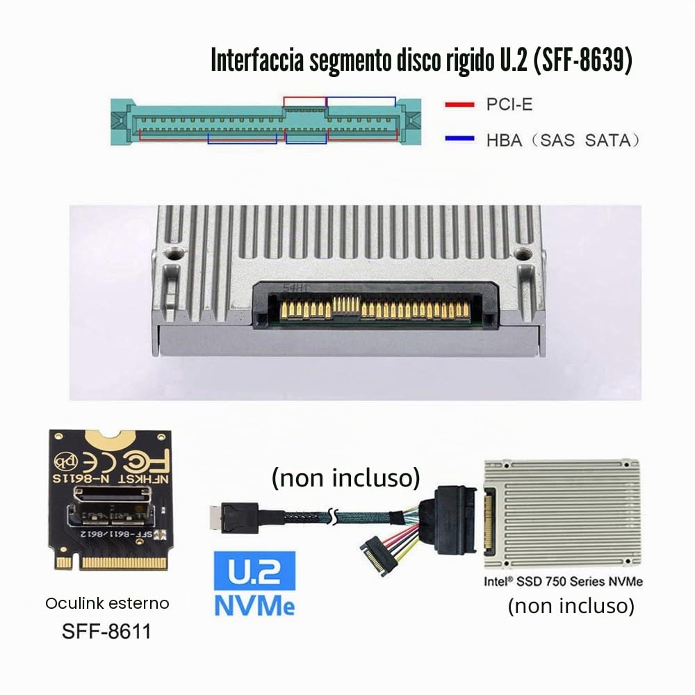 Adattatore host verticale 2230 PCI-E4.0 M.2 M-Key a Oculink SFF-8612 SFF-8611 per NVME U.2 SSD eGPU, NF-SF-023-2230MM