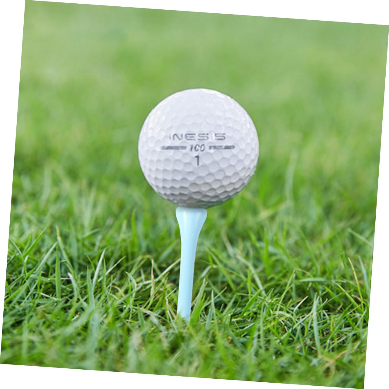 SUPVOX 300 Piezas De Madera para Clavos Soporte para De Golf