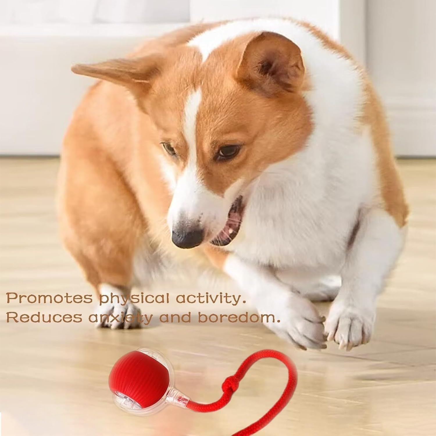 Shatanuvart Export Interactive Rolling Dog Toy – 360° Electric Smart Rolling Ball for Dogs – Automatic Pet Ball with Lights – Fun Exercise Toy for Small & Medium Dogs (Style 2)
