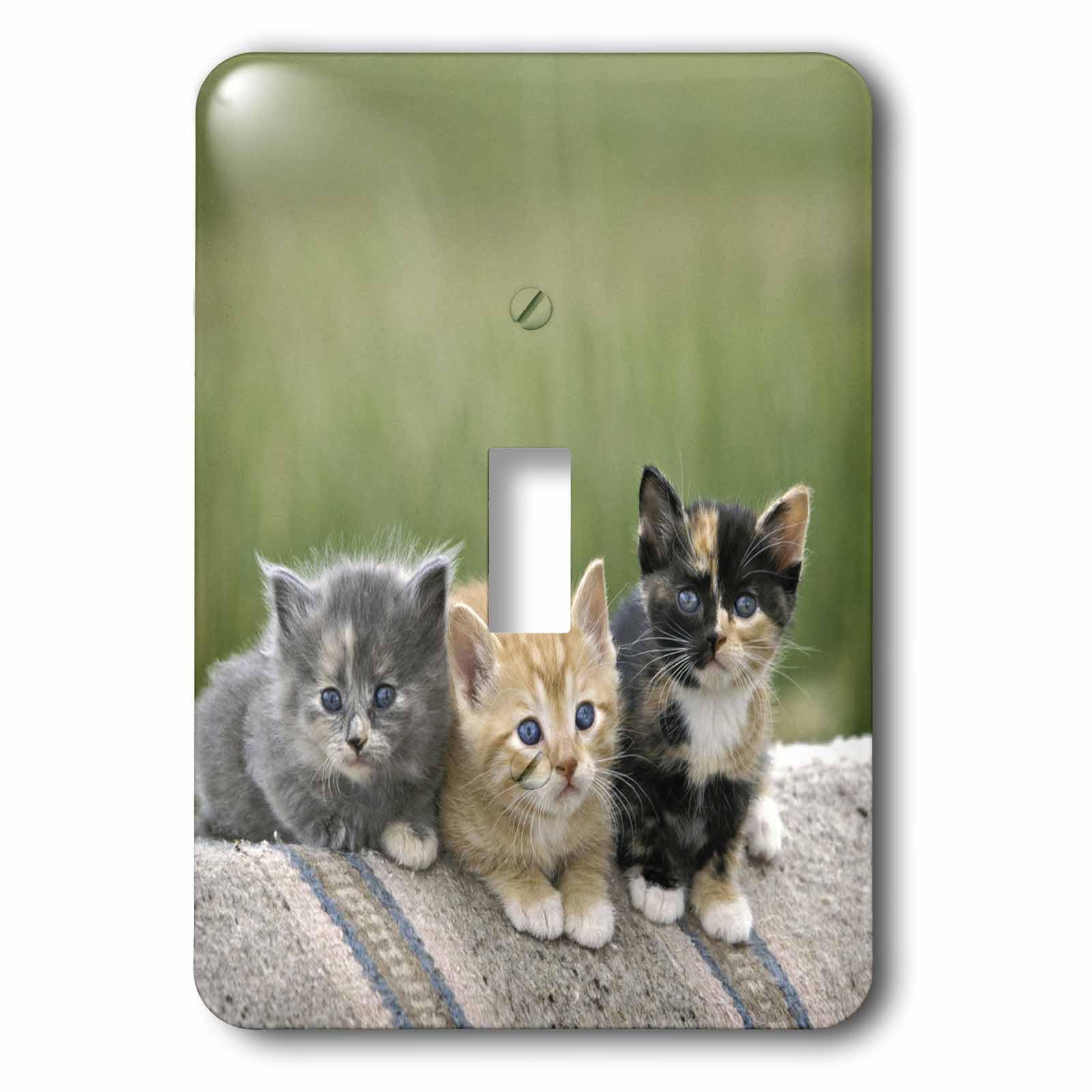 Interrupteur à bascule simple chatons pour chambre enfant style Colorado 3dRose