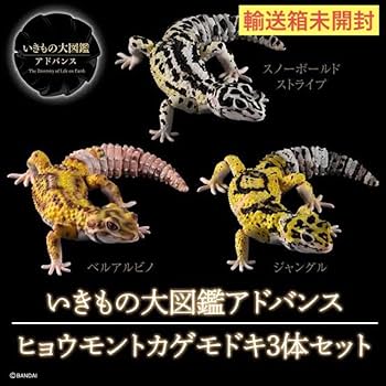 Amazon.co.jp: いきもの大図鑑アドバンス ヒョウモン