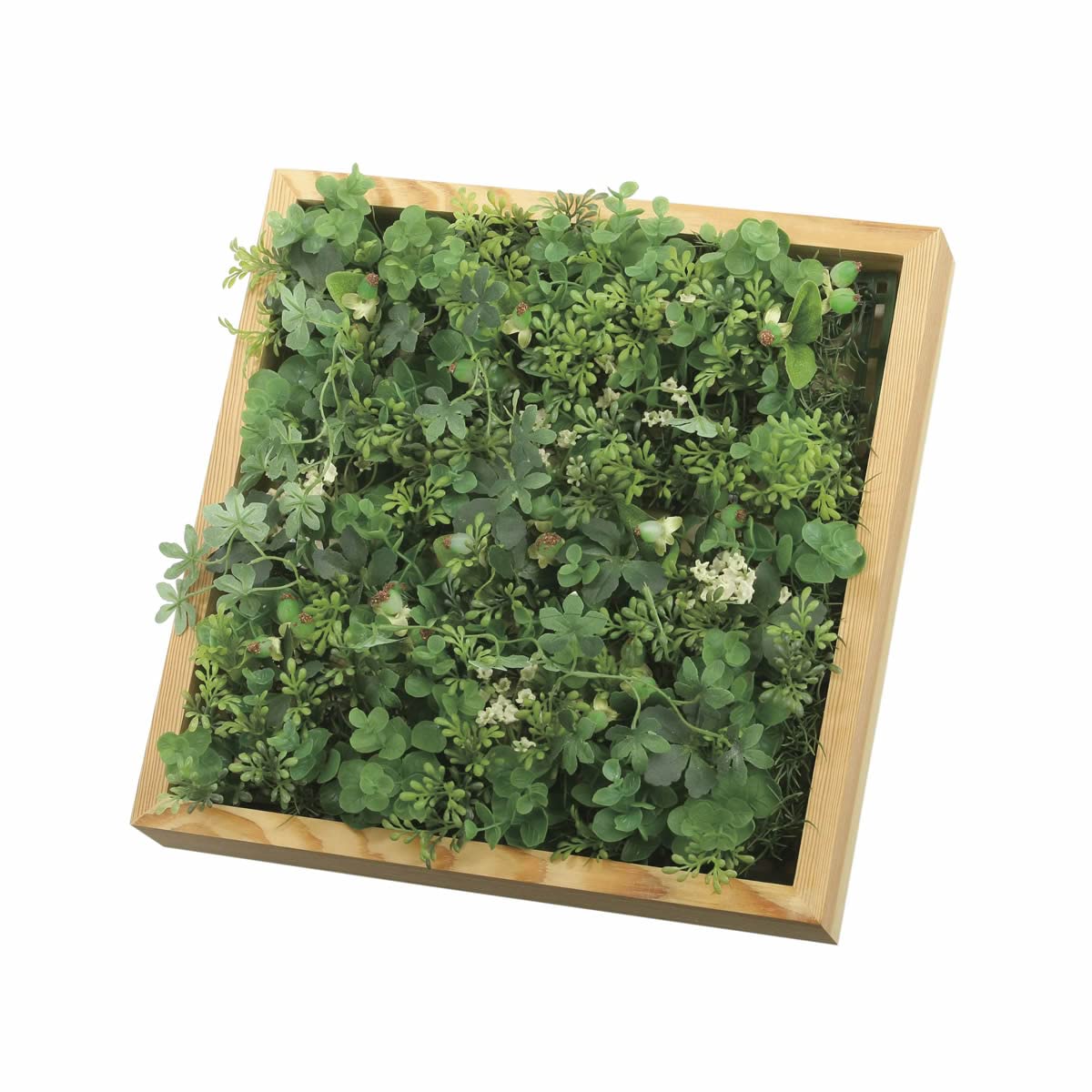 Amazon｜光触媒 人工観葉植物 光の楽園 壁掛けウッドボックス 2226A100