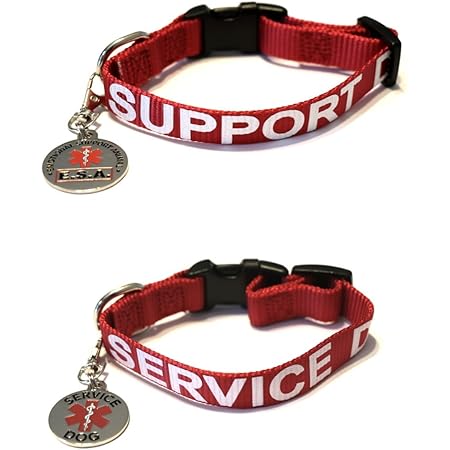 Service animal collar Clearance