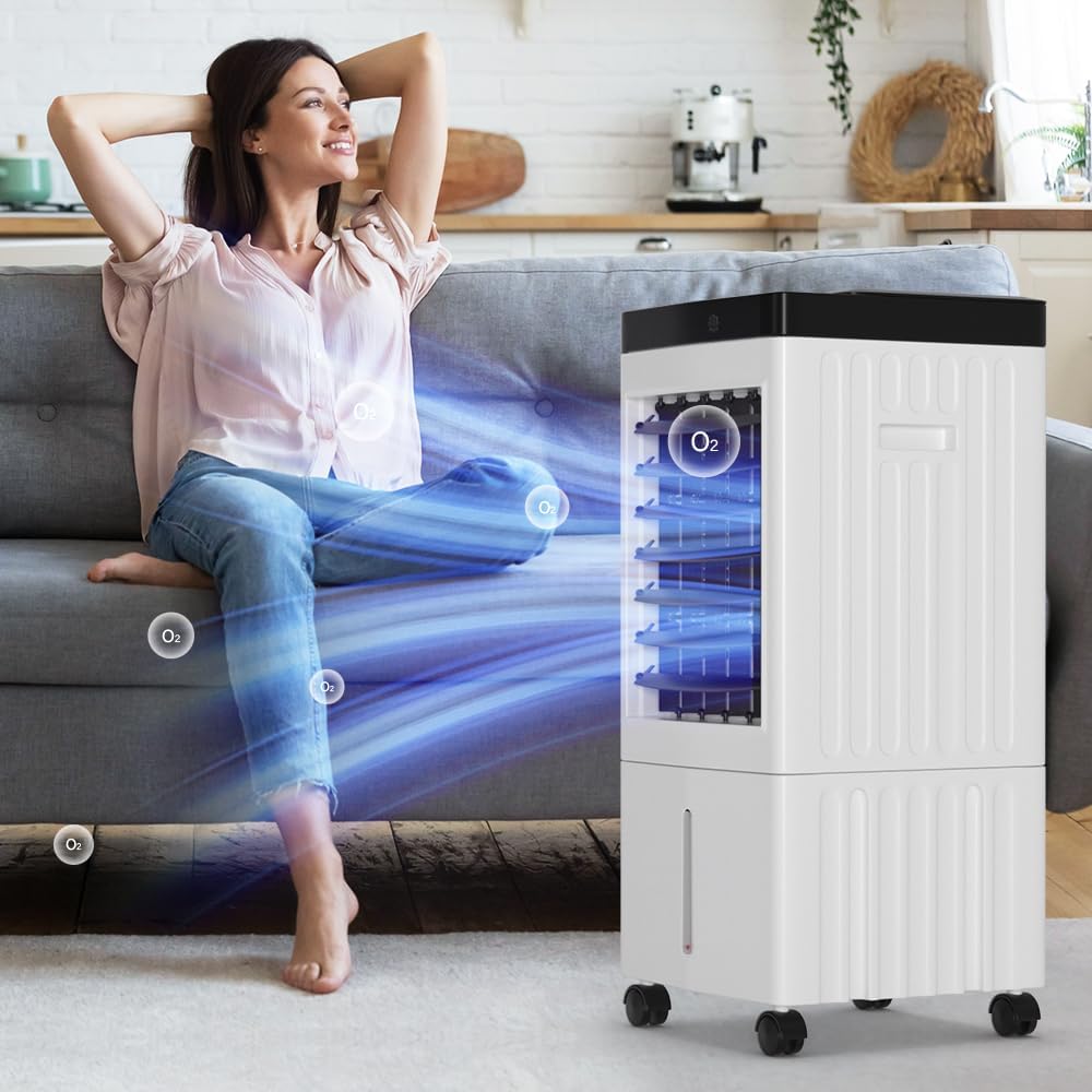 https://m.media-amazon.com/images/I/61I7lTo-QtL._AC_SL1000_.jpg
