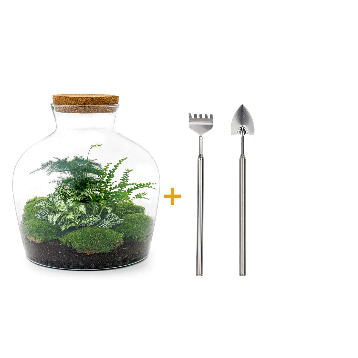 Ogród butelkowy • Fat Joe Green • Rośliny w szkle • ^ 30 cm - DIY - Terrarium Kompletny zestaw - Terrarium - urbanjngl | Zestaw do terrarium