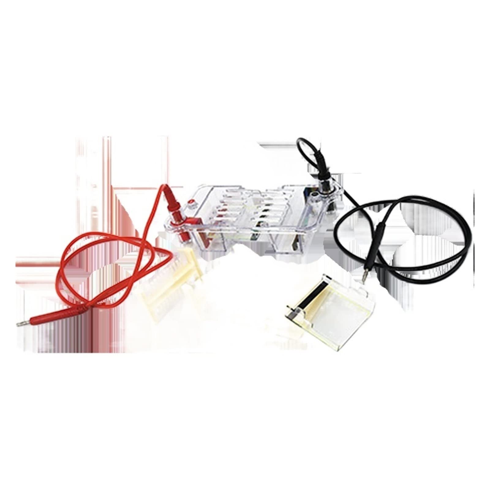 Elektrophorese Geraet, DYCP-31BN Agarose Horizontaler Elektrophorese-Instrument Labor Biomolekularer Test-Elektrophorese-Tank