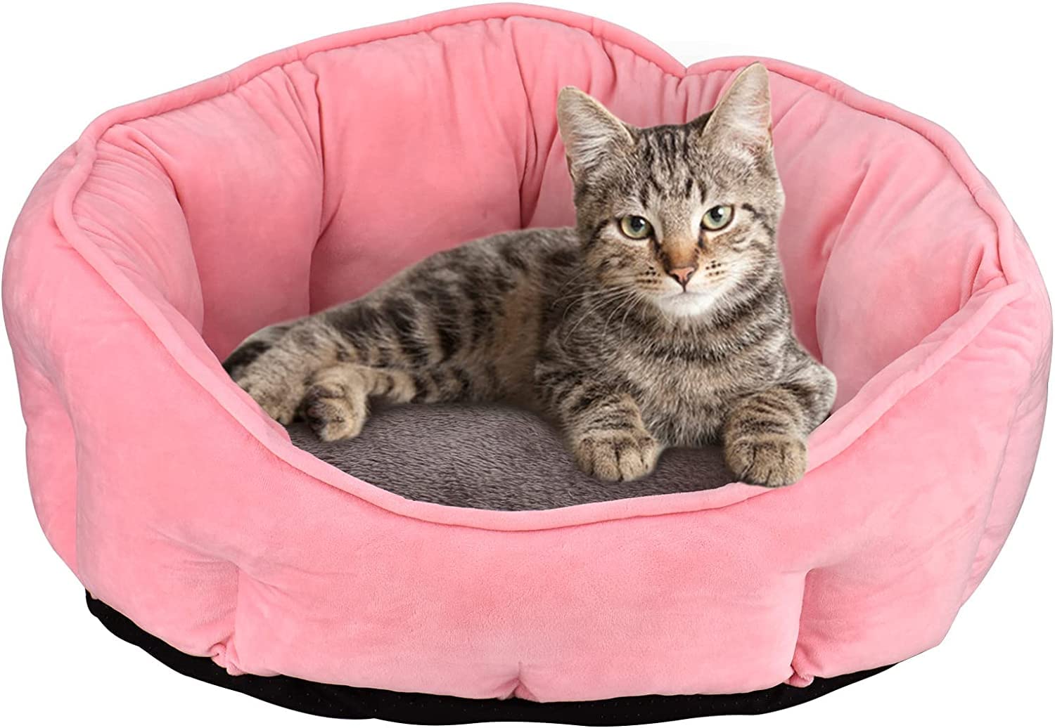 ROYALS RORE Dog Bed- Ultra Soft & Gorgeous Washable Reversible Pet Beds Puppies for All Breed Cats Pomeranian Pug Labrador Small | Medium | Large | Extra Large | 3XL | Cats| Puppy (3XL) (B0BZ9CGMQS) Amazon Price History, Amazon Price Tracker
