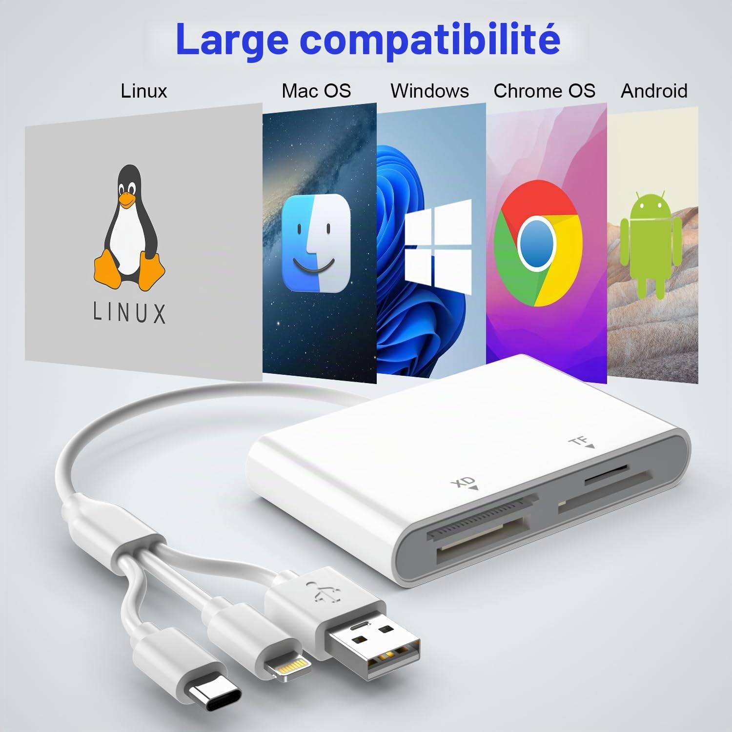 4 en 1 Lecteur de Carte pour SD/TF/MS/XD, Adaptateur Memory Stick Pro Duo pour iPhone/iPad/PC/Android, SD Card Reader avec USB C/Lightning/USB & OTG, Lecteur Carte XD pour Olympus Plug & Play