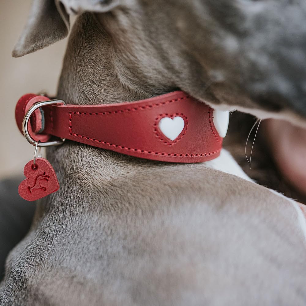 HUNTER Windhundhalsband Love, Farbe: braun/schwarz, weiches, Robustes Rindsleder, einzeln eingenähte Herzen, breitere Form, gepolstert, hoher, Made in Germany, Größe 52