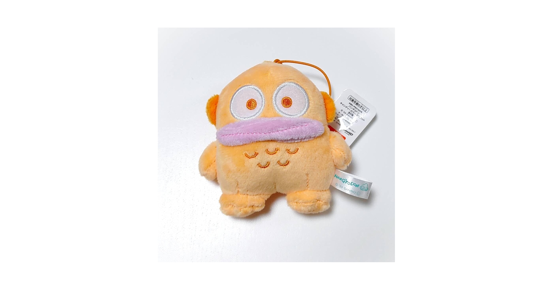 61I8-TgZFdL.jpg_BO30,255,255,