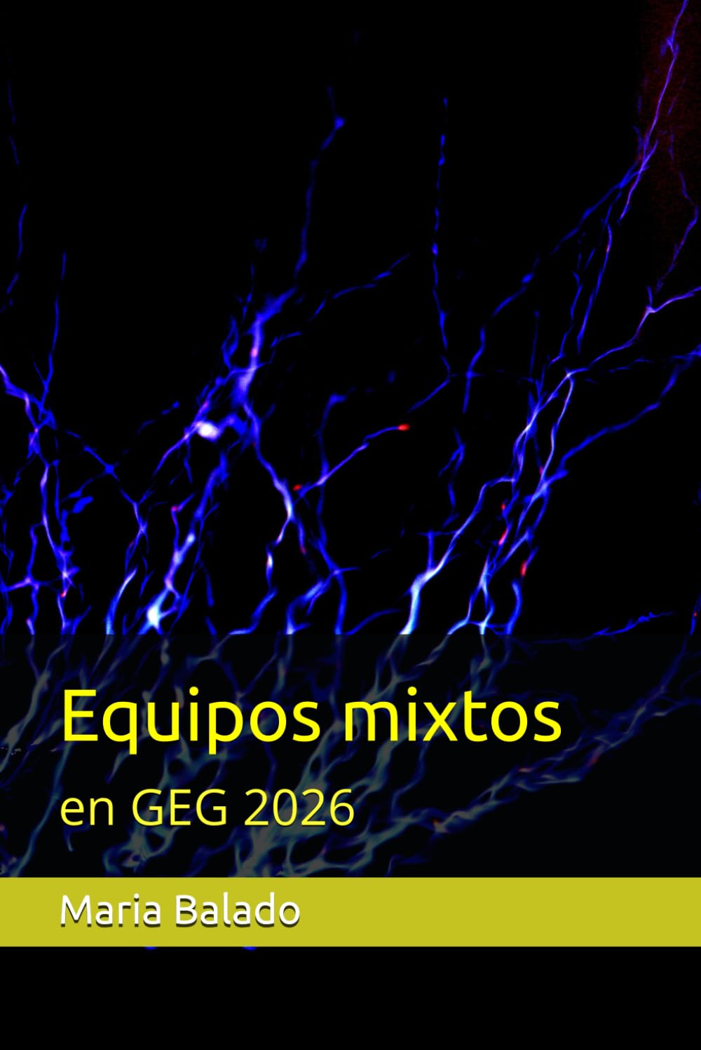 Equipos mixtos en Gimnasia estética: actualizado 2026