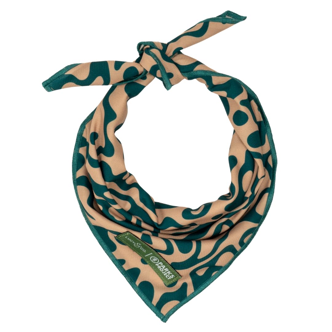 Lucy & Co. x Parks Project Geyser Dog Bandana, Cute Pet Bandana for Dogs, Soft & Adjustable Neck Tie, Small โ image 1