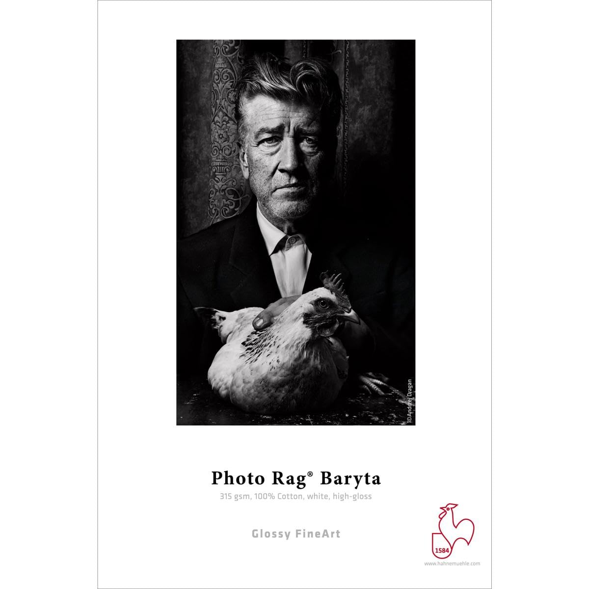 Amazon.com : Hahnemuhle Rag Baryta 315 Glossy Cotton Photo Paper