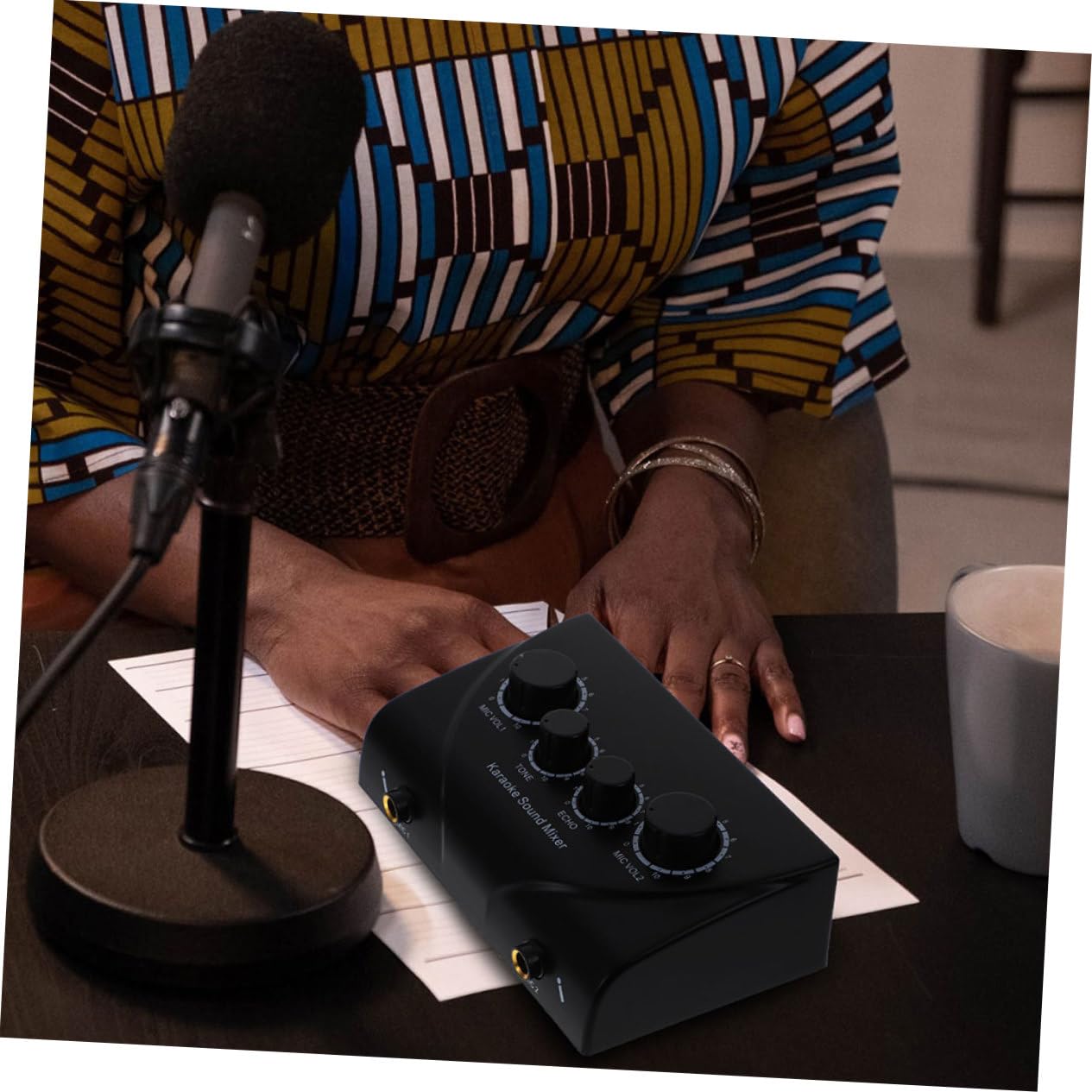 Mixer Audio Professionale per Karaoke con Doppio Ingresso Microfono | Regolazione Separata del Volume Microfono, con Cavo e Adattatore di Alimentazione