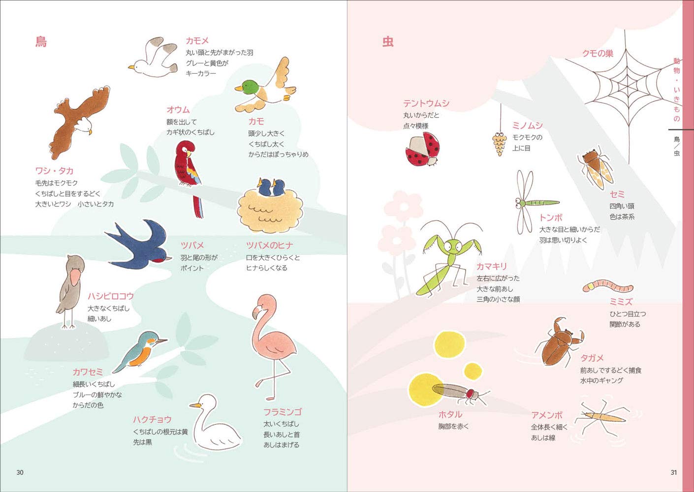 カモさんのイラスト大百科 カモ カモ 本 通販 Amazon