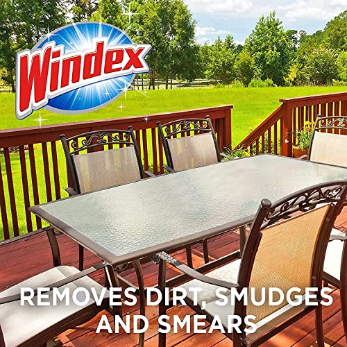 Windex Glass Clean Pad, 2 Count (Pack of 1) - Thumbnail 3
