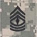 Army Combat Uniform ACU Enlisted Rank (With Hook Fastener, E-8 First Sergeant)