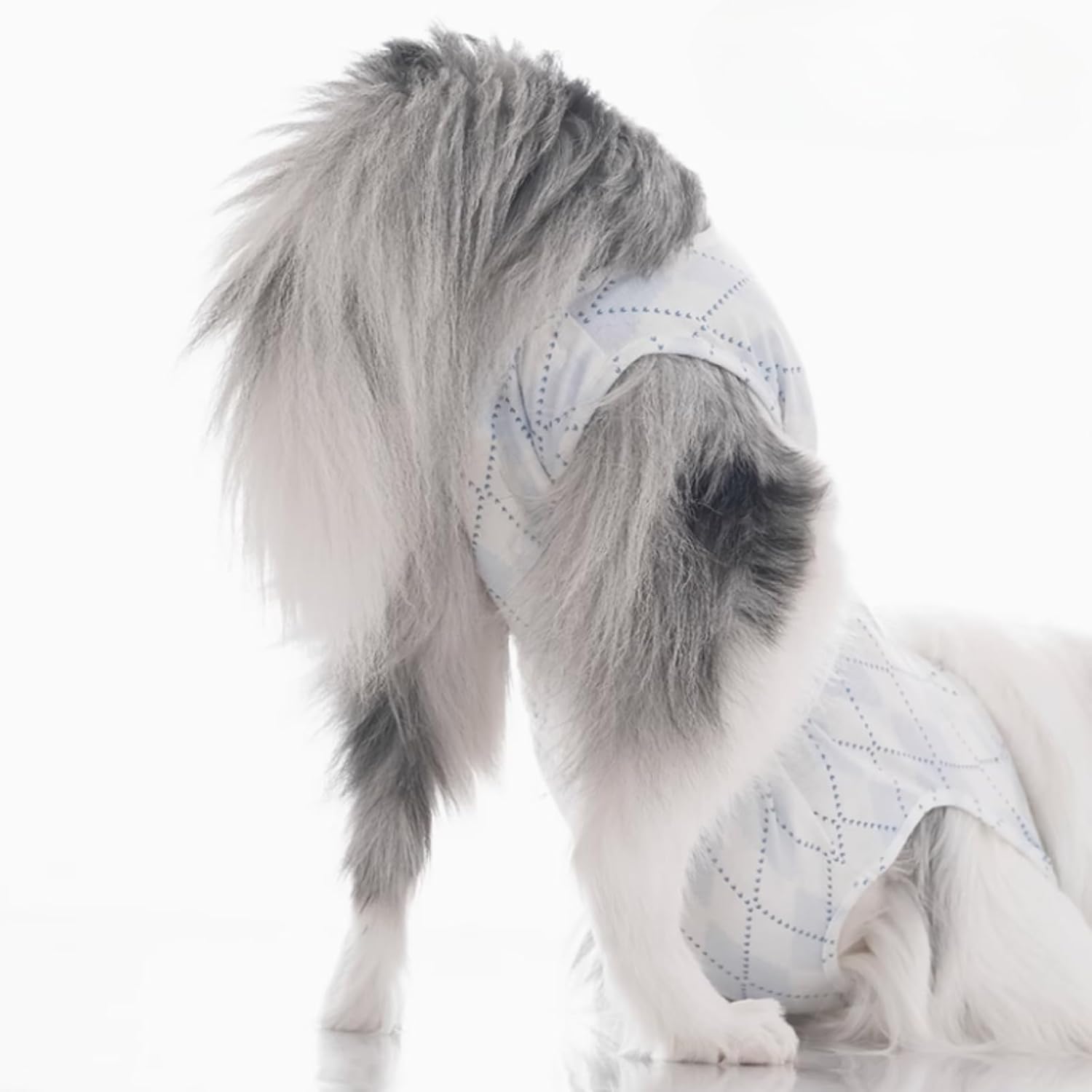 Dog Professional Multi-Purpose Onesie, Medium Large Dogs Post-Surgery Anti-Licking Recovery Suit, Heat Protection for Male/Female, Period Care with Pads (6XL)