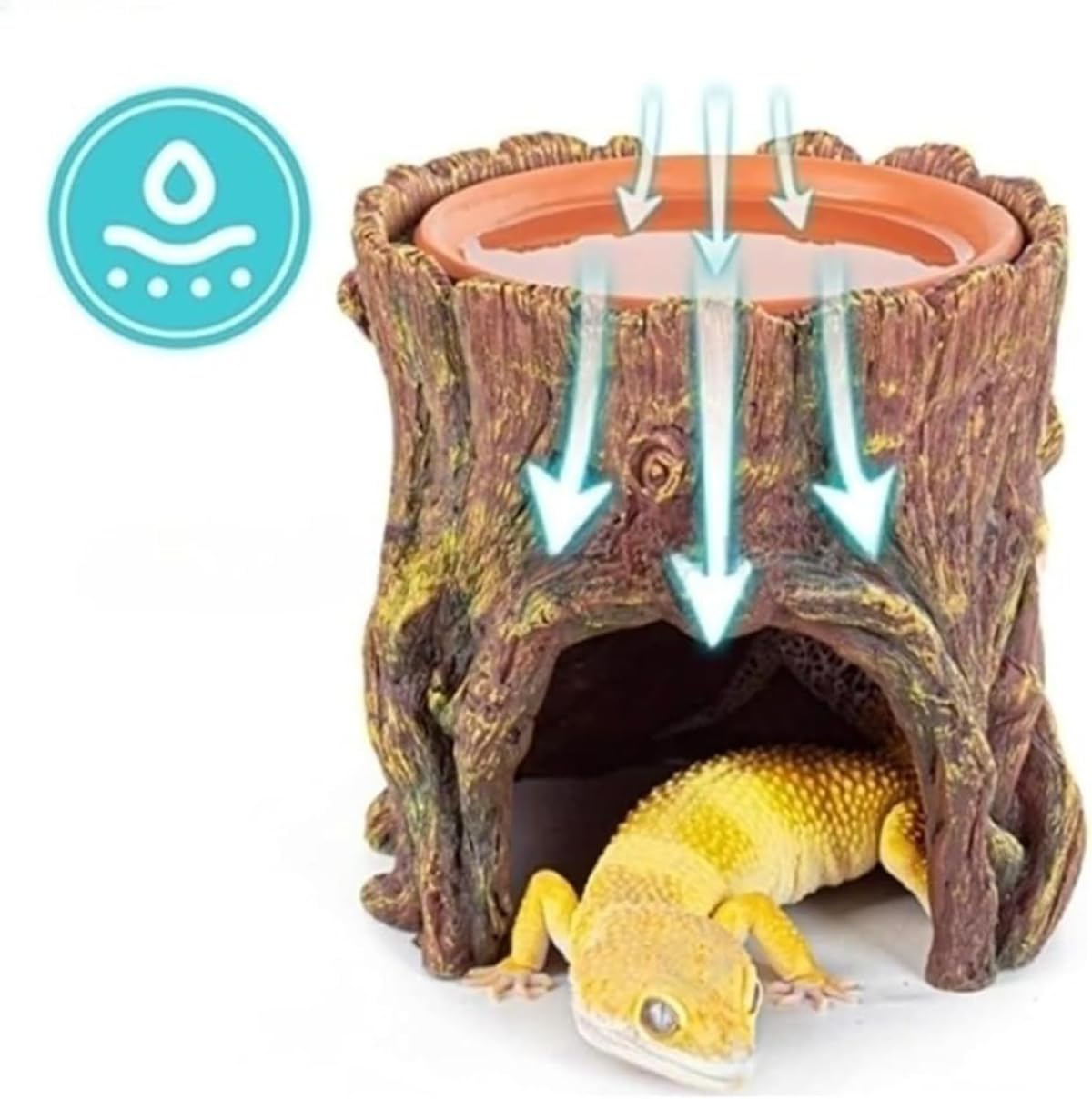 Amazon | 【Poaery】 両生類 爬虫類 ウェットシェルター シェルター