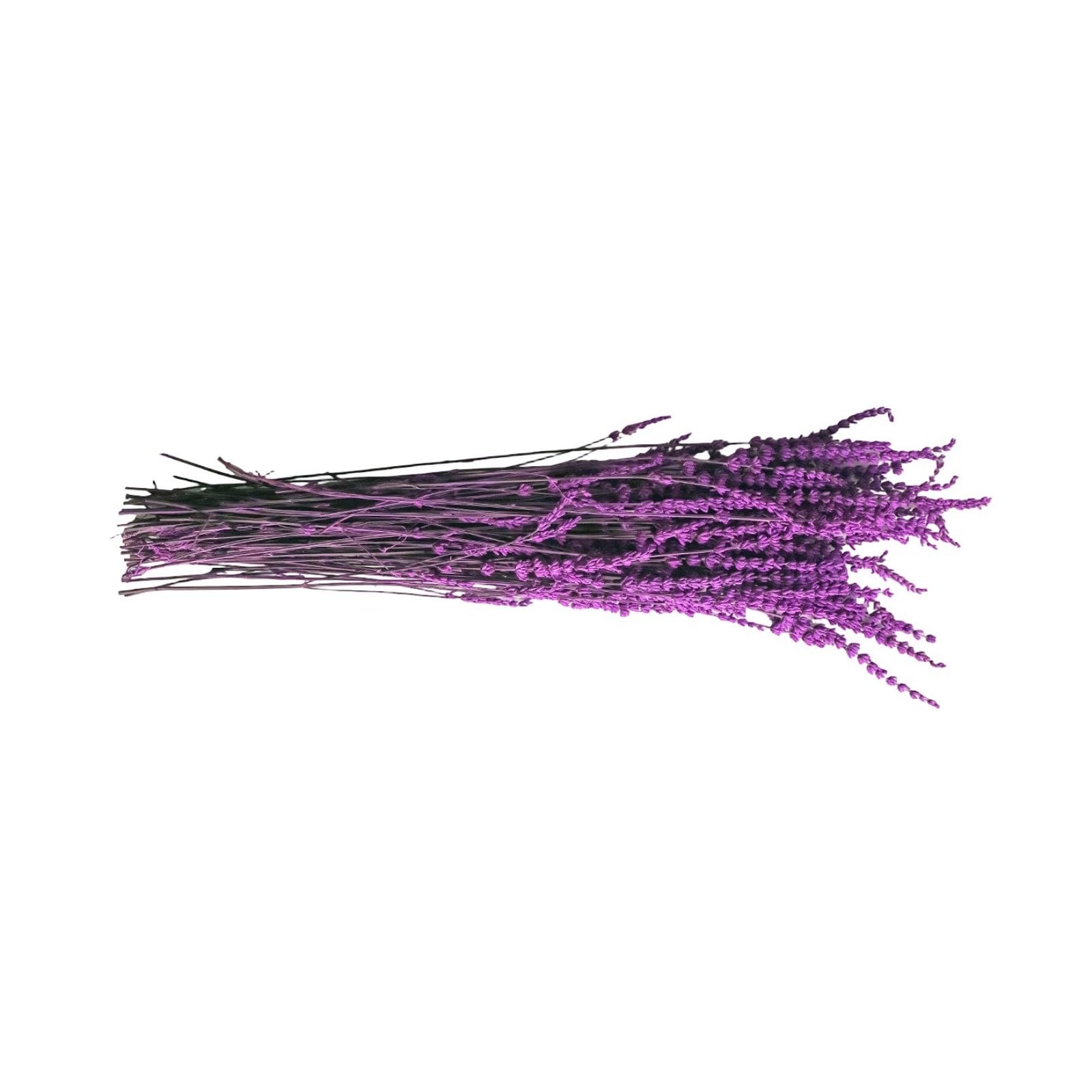 Zxfdsfdbnm Real Lavender Bouquet Preserved Floral Bundle 19.69in, Natural Decorative Accent for Bedroom and Lavender Bouquet Vase Filler Wedding Centerpiece Preserved Flower Arrangement