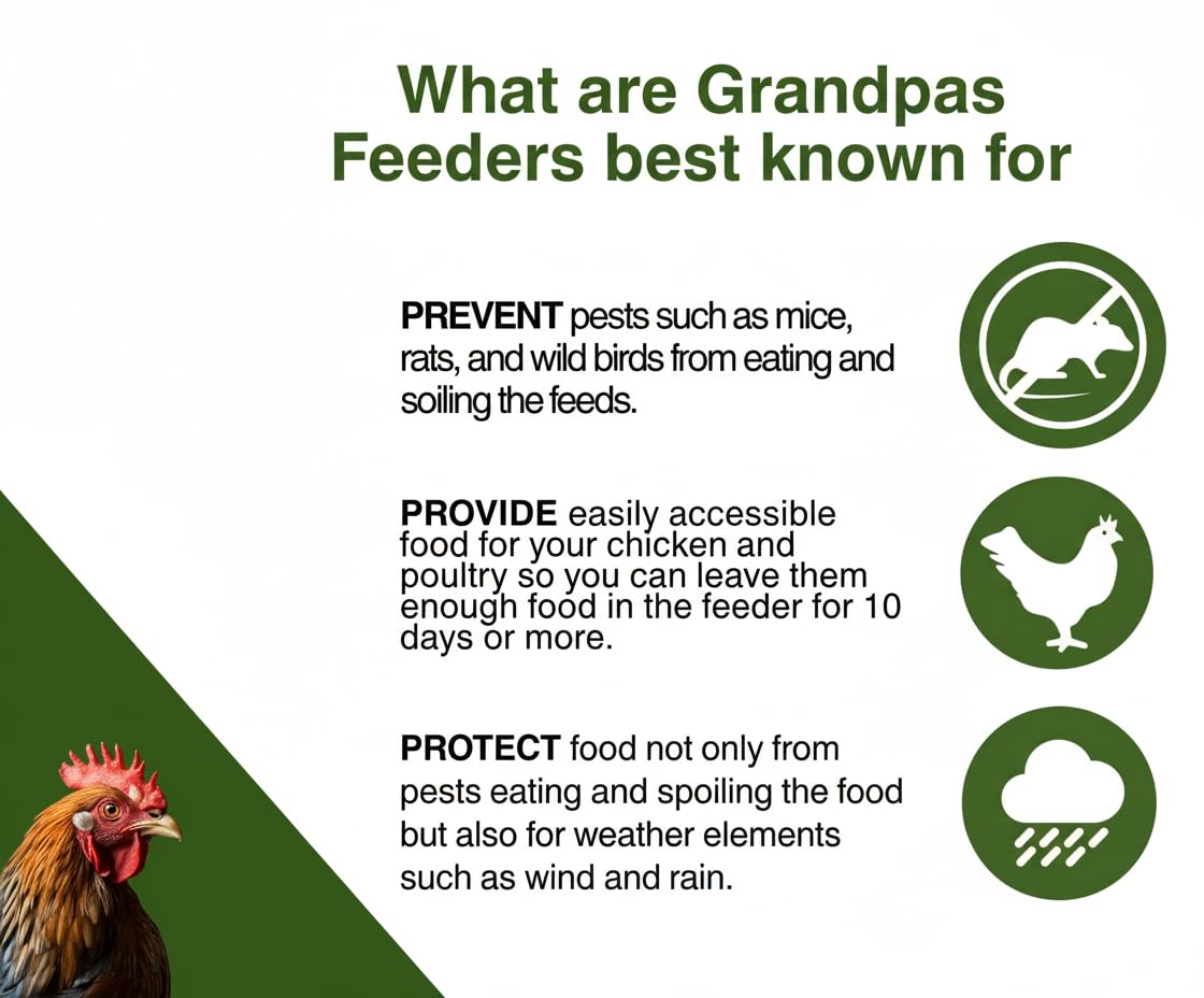 Grandpa's Feeders Hühner-Futterautomatmit Trittplatte - Geflügelfutterautomat rattensicher aus verzinktem Stahl - Kein Verschütten mit wetterfester Abdeckung für 6-12 Hühner 10 Tage (9 Kg Futter)