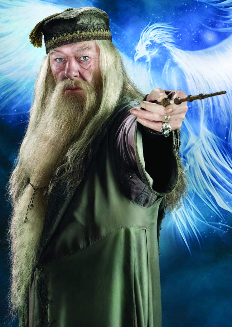 Panini France SA -LA Magia filmu Harry Potter 11 kieszeni, 2532-020
