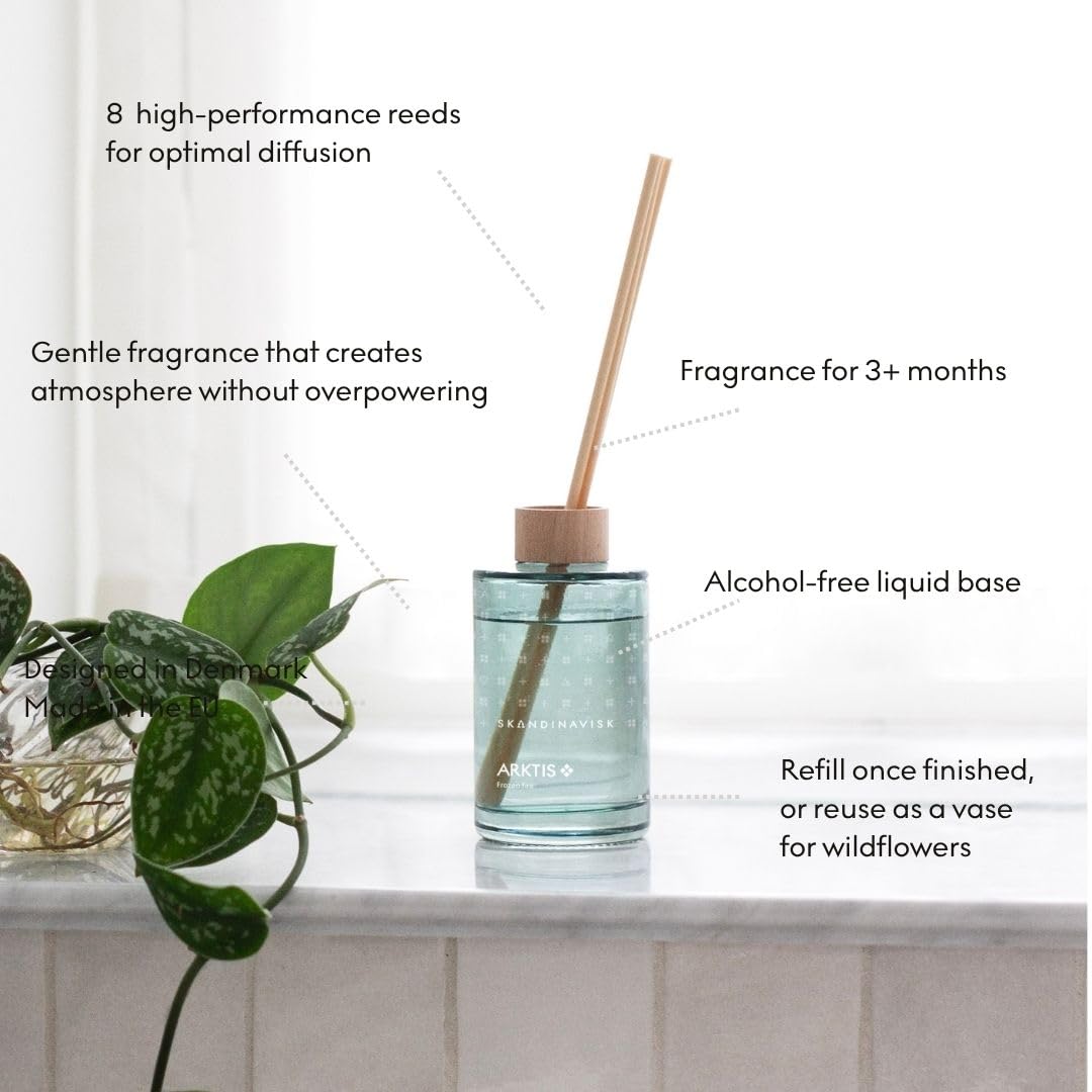 Skandinavisk ARKTIS Diffuseur de parfum avec 8 roseaux Notes de parfum : bois balayé par le vent et sauge arctique, menthe verte et flocons de neige. 93,6 g