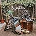 IV Live günstig Kaufen-Birdie (Ltd.Olive Green Vinyl) [Vinyl LP]
