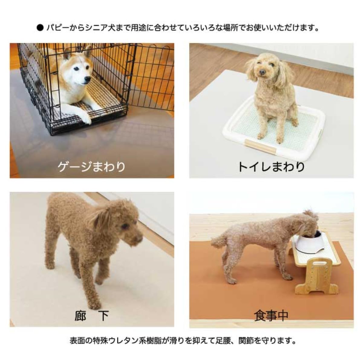 Amazon.co.jp: 踏ん張り 防水 シート 犬 猫 滑り止め 防滑 ペット 犬