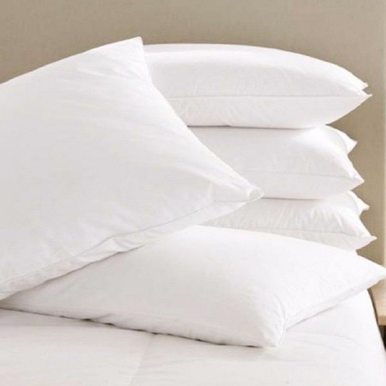 EMBROCO® Cotton Cushion Fillers/Pillows - Set of 5 (White (12x18) (B0CPPYBR7K) Amazon Price History, Amazon Price Tracker
