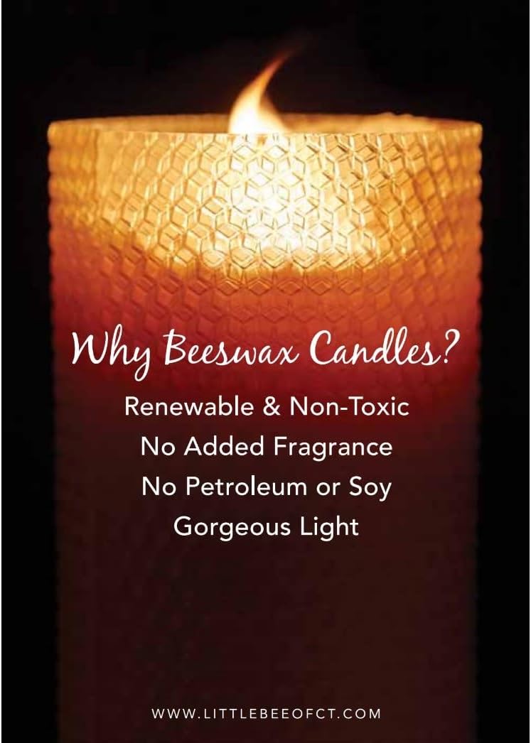 Little Bee of Connecticut Hand Rolled Beeswax Pillar Candles (4 x 8 Inch)