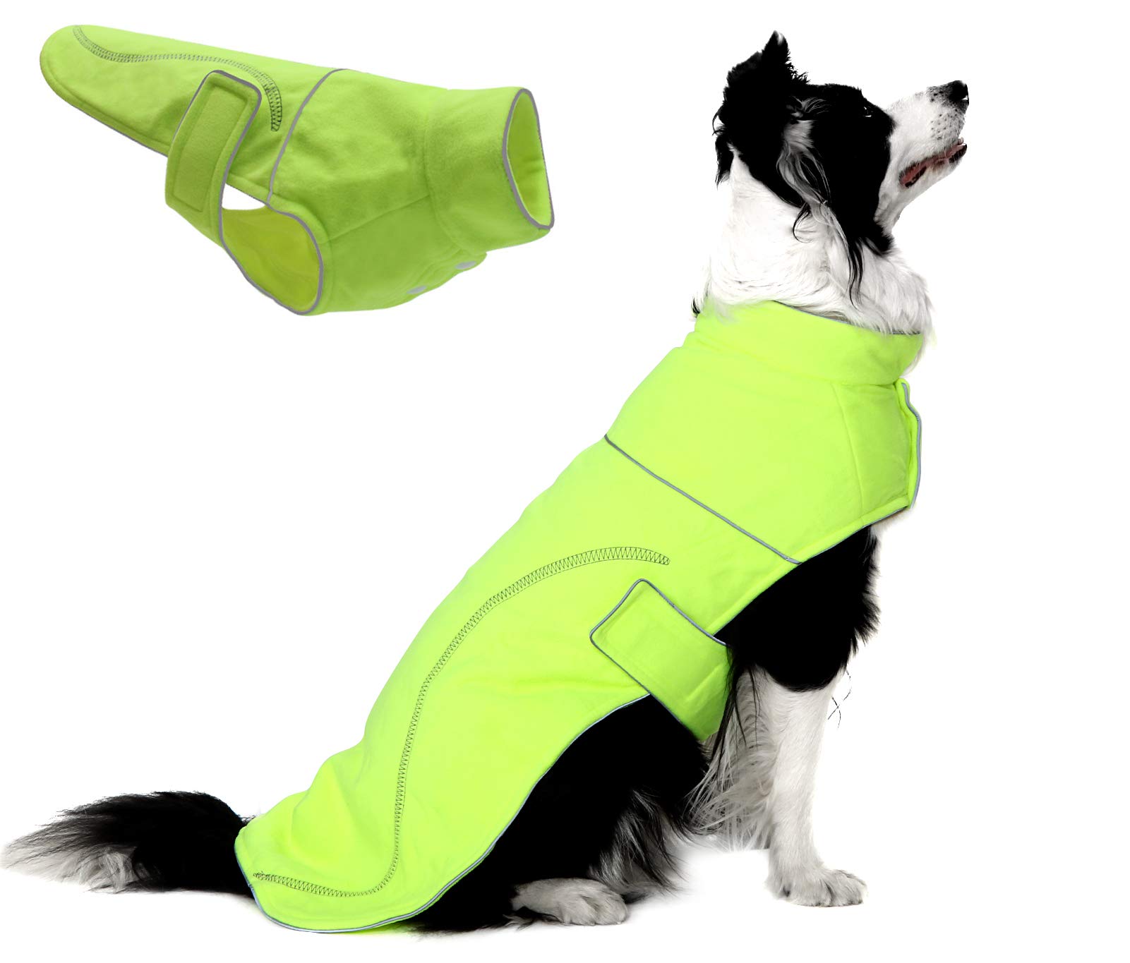 Why Does My Dog Take My Clothes Outside