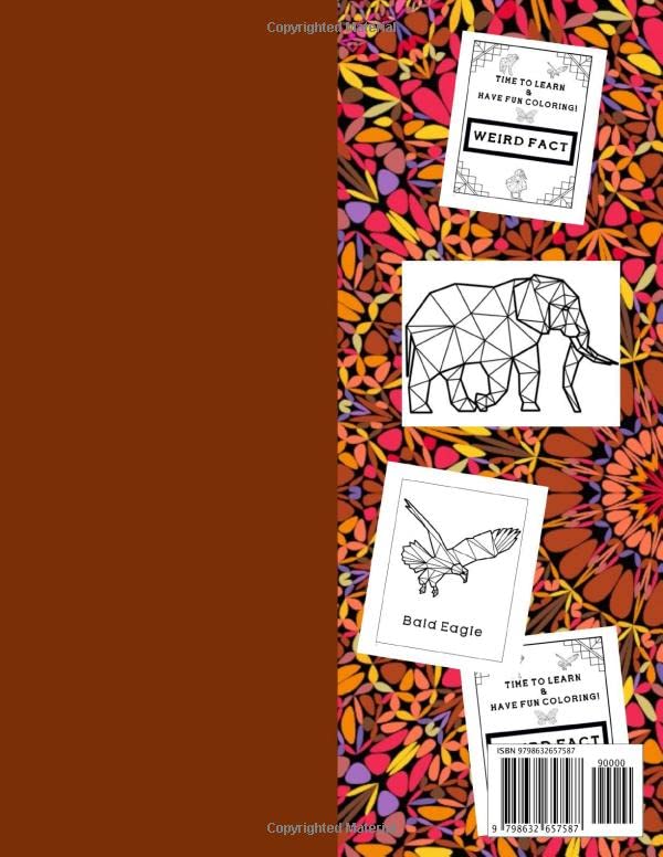 Color Me Fun Facts Activity Coloring Book for Kids: Large Size Animal Illustrations Learning Crafts Workbook for Boys, Girls, Toddler, Games and Gift For Birthday image 2