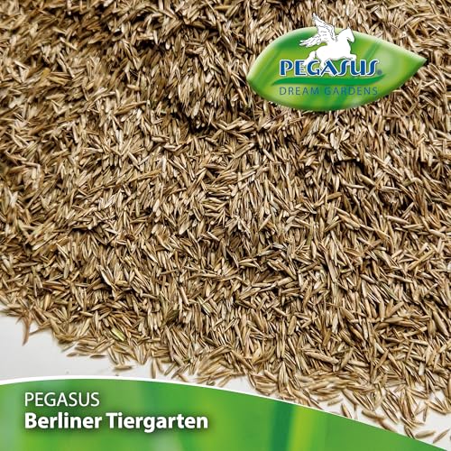Pegasus Berliner Tiergarten 622302 Rasensamen 1kg , 25 qm - Hohe Belastbarkeit, Schnelle Keimung, Hohes Zierwert, Pflegeleicht, Saatgut, Rasensaat