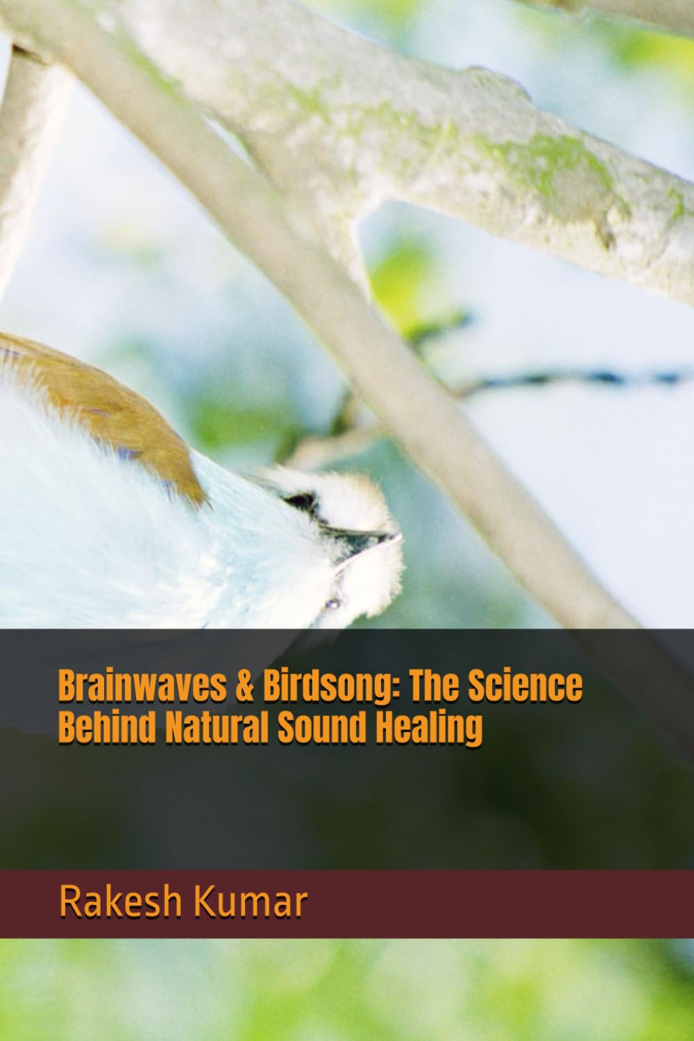 Brainwaves & Birdsong: The Science Behind Natural Sound Healing