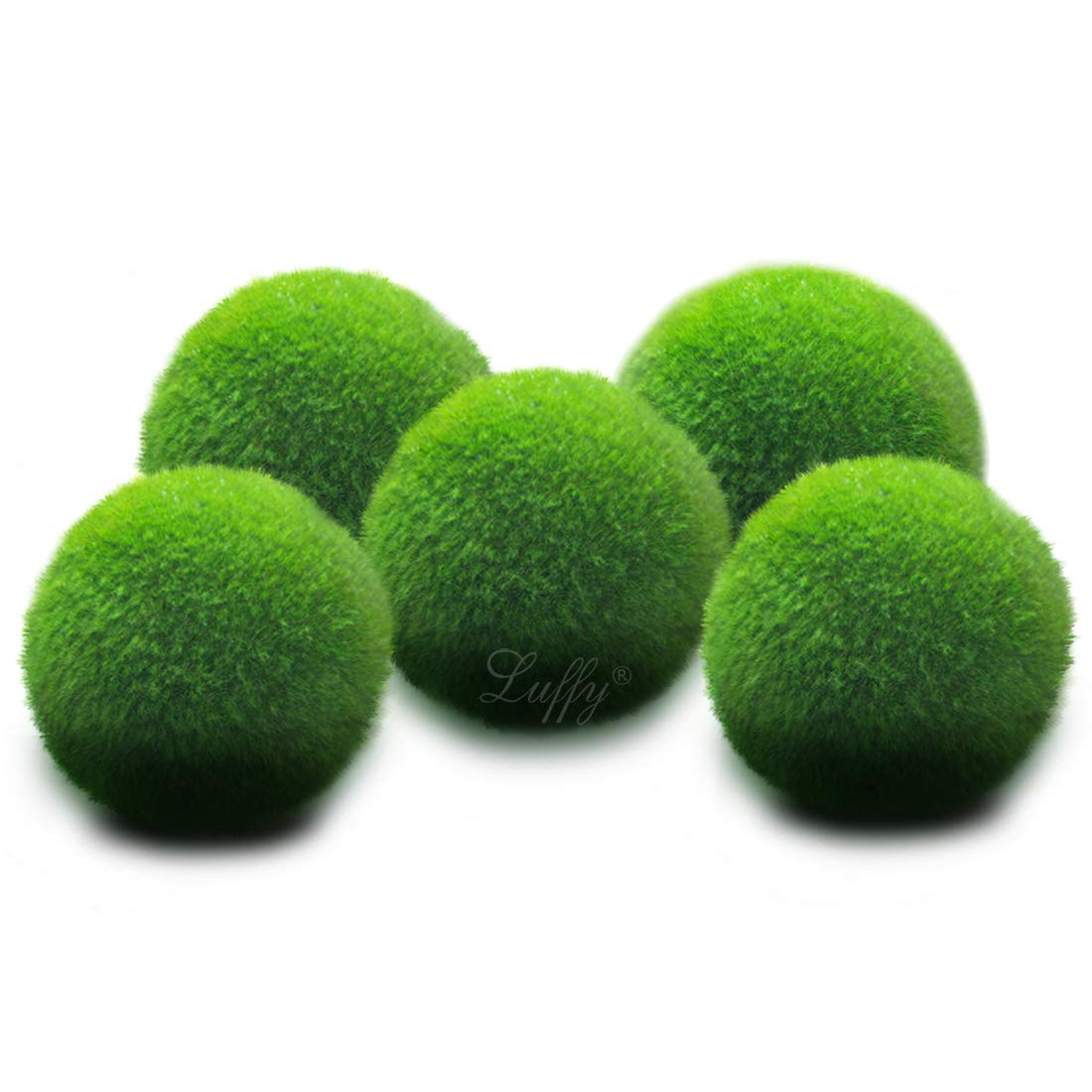 Pet Supplies Aquarium Décor Create Healthy Environment for Aquatic Pets Shrimps & Snails Love