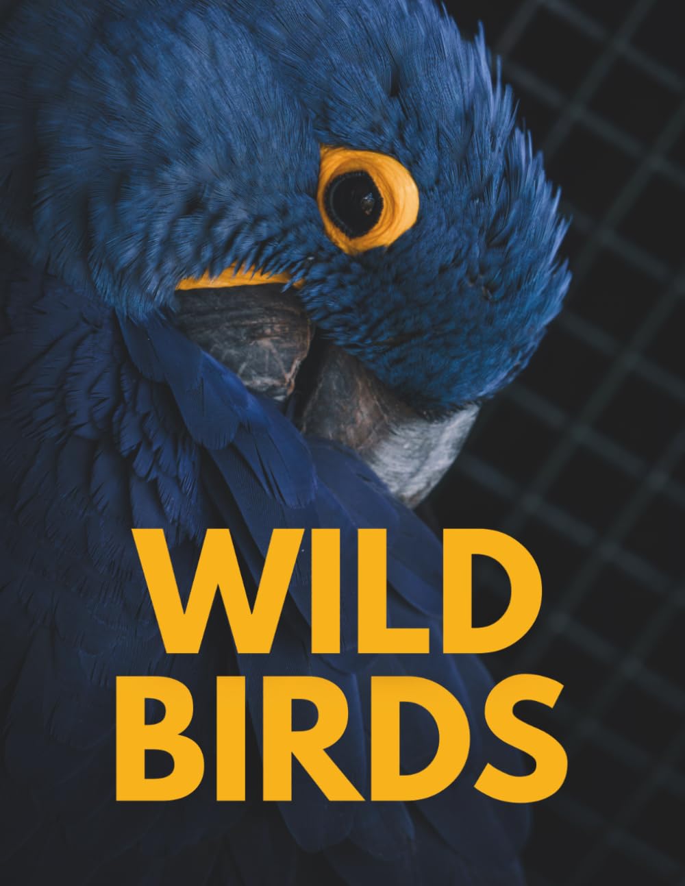 WILD BIRDS: Stunning Photography of Majestic Eagles, Colorful Parrots, Flamingos, Peacocks, Owls and Exotic Species in Their Natural Habitats – ... Perfect Gift for Nature and Wildlife Lovers