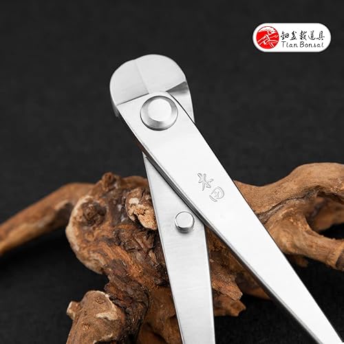 Miniatura 3 de El bonsái profesional del cortador de alambre del grado equipa el acero de aleación 4Cr13MoV 8.071 in