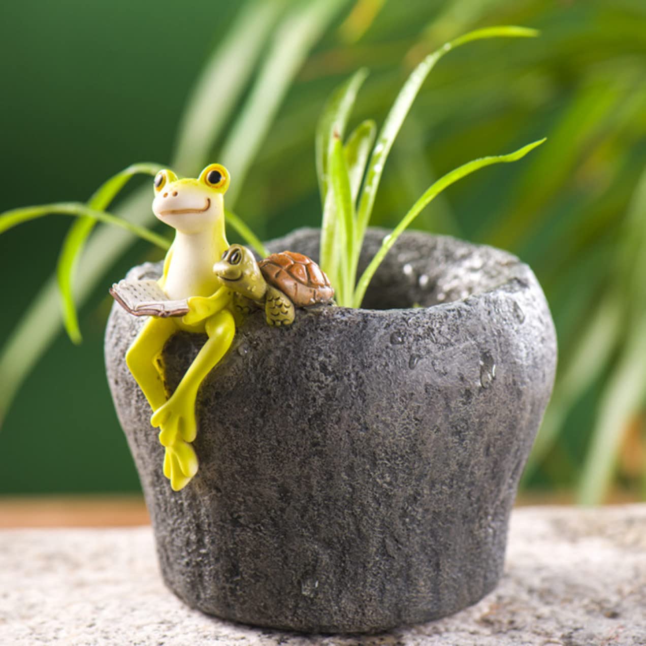 Amazon.co.jp: MJKQ9 蓮の葉の上のお祈りかえるかえる カエル 蛙