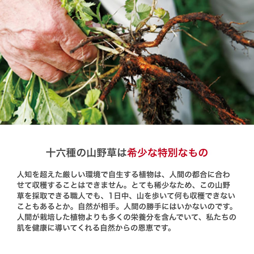 Amazon | 長寿の里 公式 然 －しかり－ 発酵化粧水 150ml 完然無添加