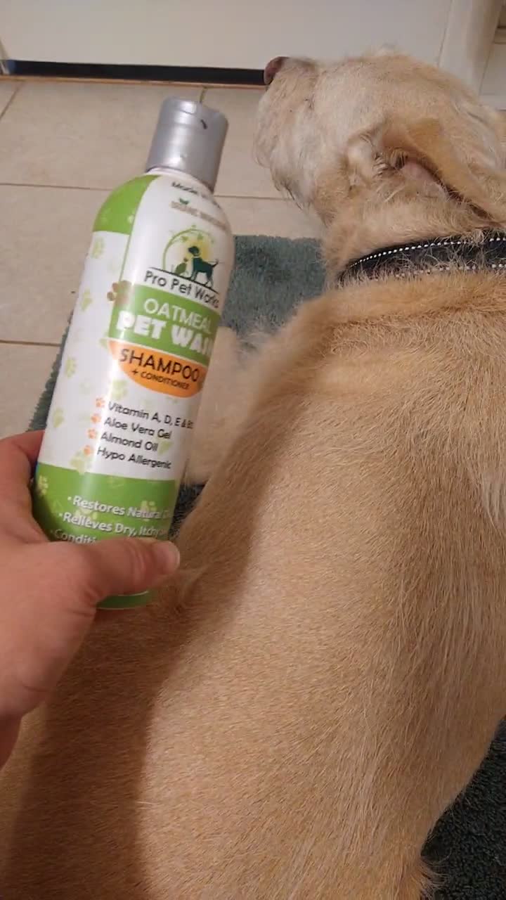 Pro Pet Works Organic Oatmeal Shampoo and Conditioner for Cats