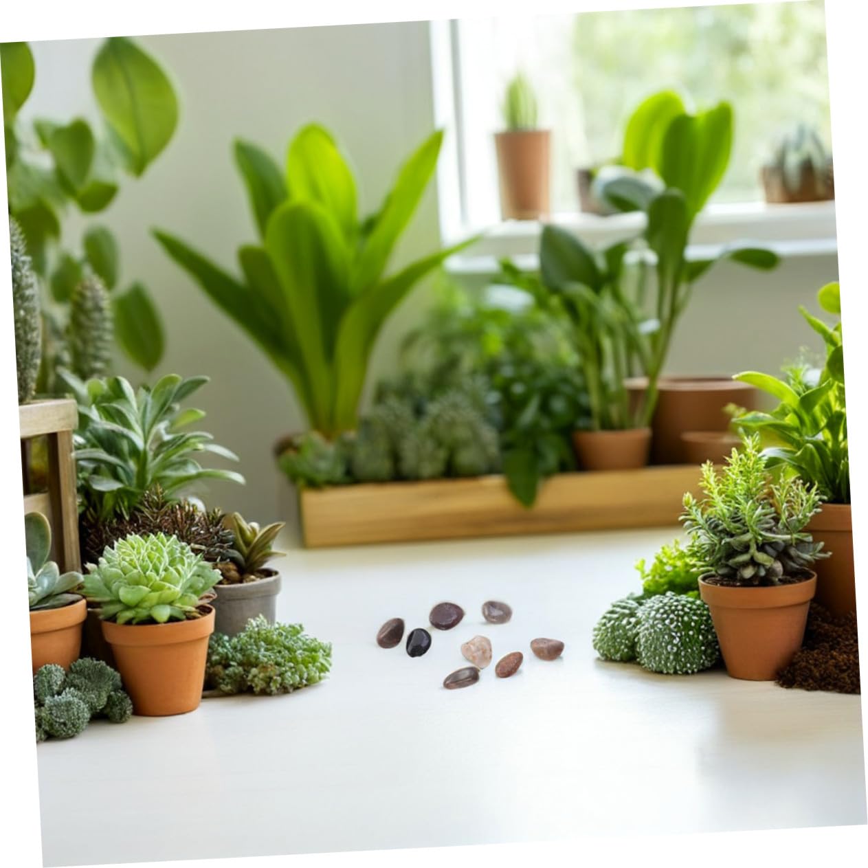 Ciottoli Decorativi Levigati per Acquari e Bonsai Pietre Naturali Resistenti allo Sbiadimento per Fontane e Paesaggistica ed Esterna