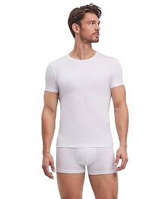 FALKE Mens Daily Comfort Round Neck T-Shirt 2-Pack