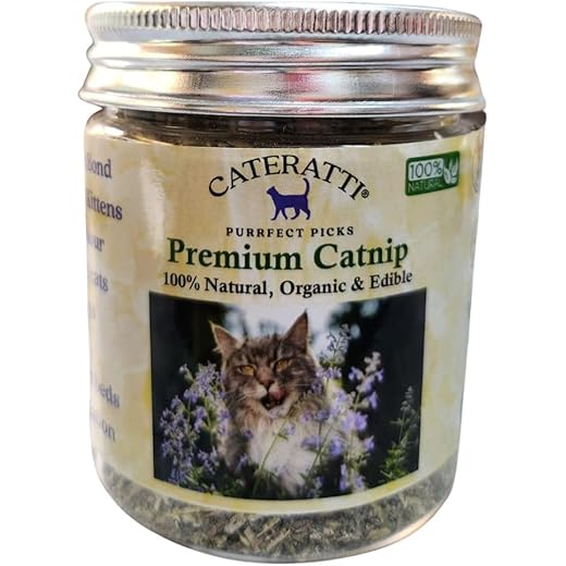Premium Himalayan Catnip for Cats & Kittens. 100% Natural. No Additives. Vet Approved. Made in India. 30gms