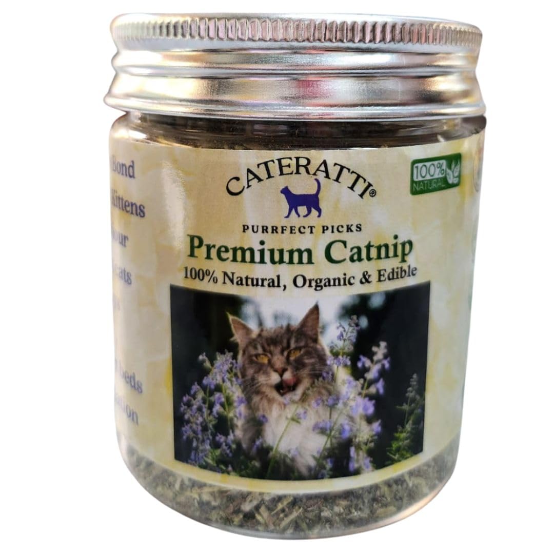 Premium Himalayan Catnip for Cats & Kittens. 100% Natural. No Additives. Vet Approved. Made in India. 30gms